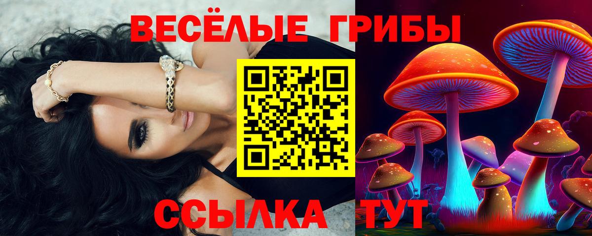 Галлюциногенные грибы прущие грибы Симферополь